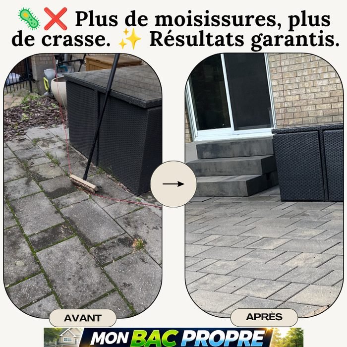 Pavé de cour arrière avant et après nettoyage
