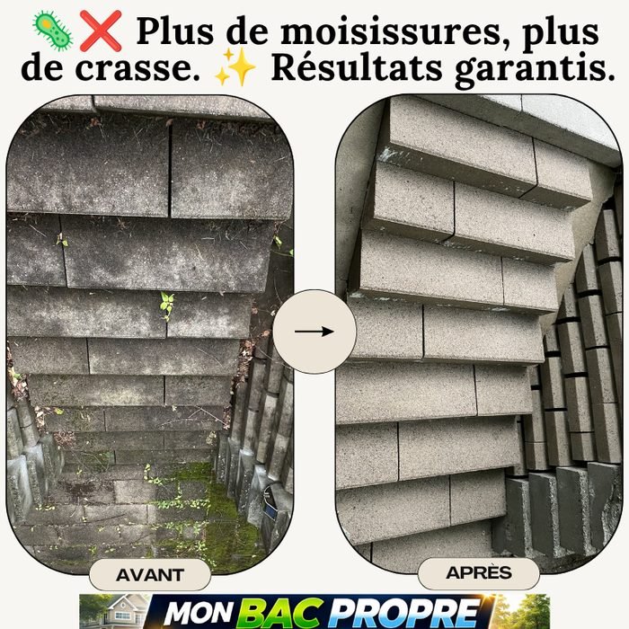 Muret et marches en pierre avant et après nettoyage